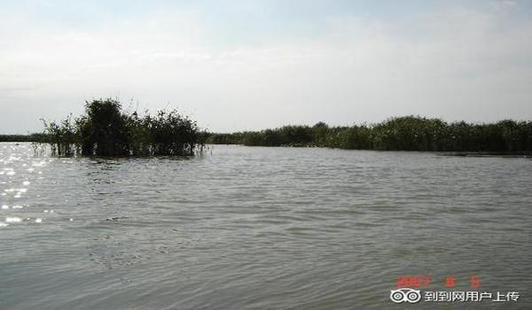 三角洲虚拟准星软件(给我三角洲虚拟准星软件下载链接) 三角洲虚拟准星软件(给我三角洲虚拟准星软件下载链接)