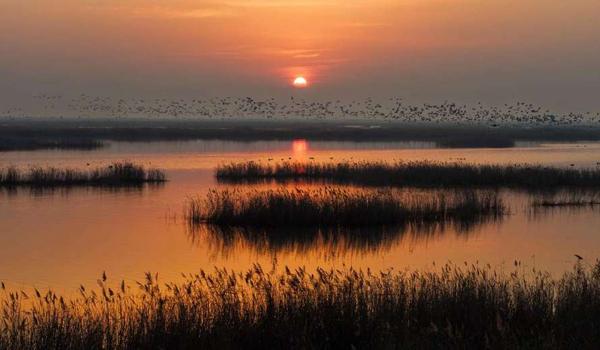 三角洲行动手机版怎么有智能助手(给我三角洲行动手机版的智能助手链接) 三角洲行动手机版怎么有智能助手(给我三角洲行动手机版的智能助手链接)